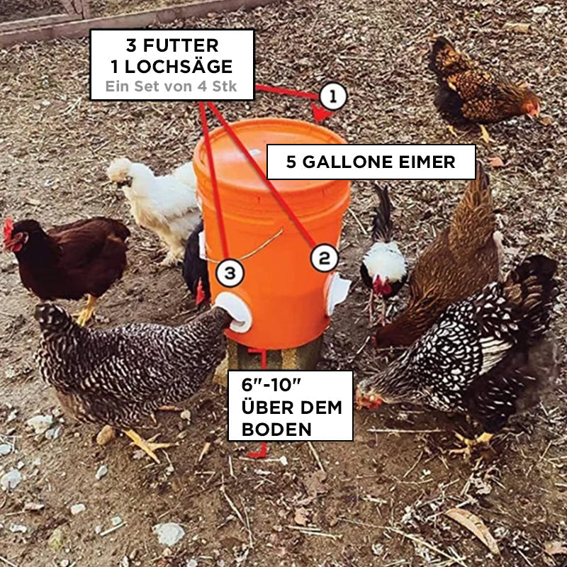 DIY Hühnerfutter