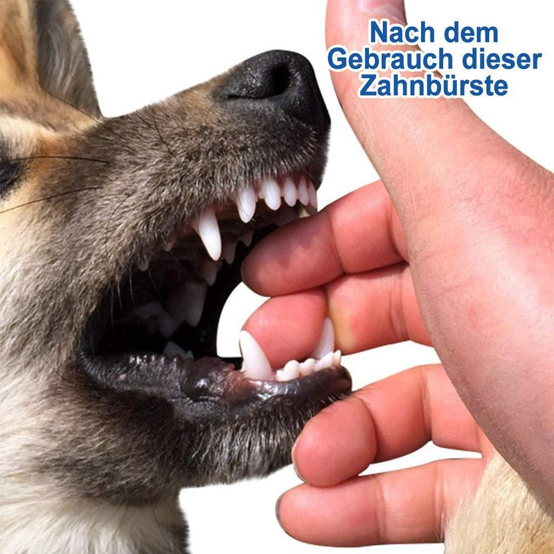 Hundespielzeug für Zähne